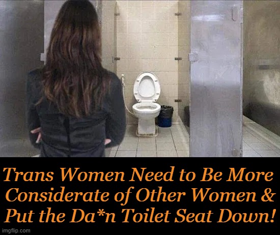 One Thing We Didn't Have to Think About . . . | image tagged in politics,transgender,transgender bathroom,toilet seat up,first world problems,humor | made w/ Imgflip meme maker