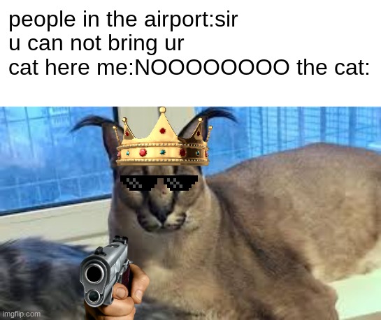 why airports should let us bring cats | people in the airport:sir u can not bring ur cat here me:NOOOOOOOO the cat: | image tagged in floppa | made w/ Imgflip meme maker