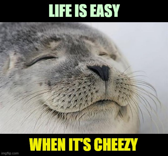 Satisfied Seal Meme | LIFE IS EASY WHEN IT'S CHEEZY | image tagged in memes,satisfied seal | made w/ Imgflip meme maker