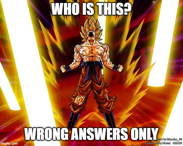 I challengeth thee | WHO IS THIS? WRONG ANSWERS ONLY | image tagged in goku,goku dbz wikia becky hijabi | made w/ Imgflip meme maker