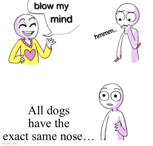 :O |  All dogs have the exact same nose… | image tagged in blow my mind | made w/ Imgflip meme maker