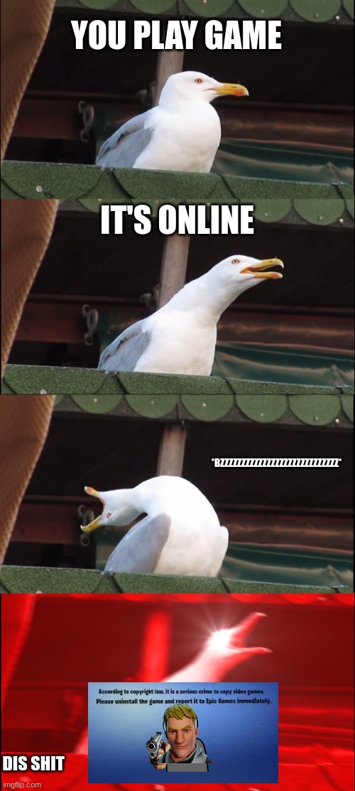 auuuuuuuuuuuuuuuuuuuuuuuuuuuuuuugh | YOU PLAY GAME; IT'S ONLINE; *BZZZZZZZZZZZZZZZZZZZZZZZZZZZZ*; DIS SHIT | image tagged in memes,inhaling seagull,anti-piracy,fortnite | made w/ Imgflip meme maker