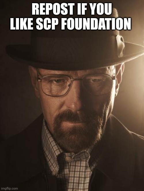 Walter White | REPOST IF YOU LIKE SCP FOUNDATION | image tagged in walter white | made w/ Imgflip meme maker