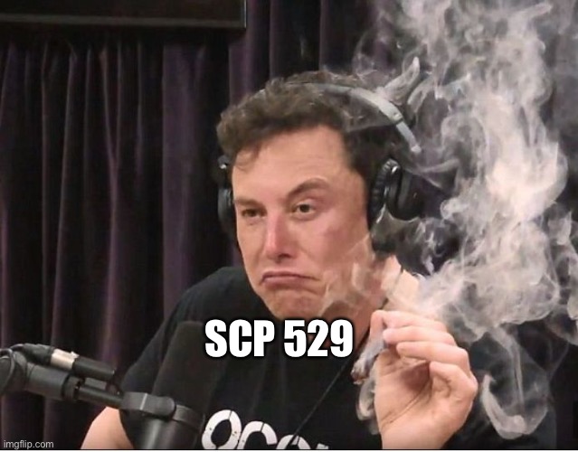 Elon Musk smoking a joint | SCP 529 | image tagged in elon musk smoking a joint | made w/ Imgflip meme maker