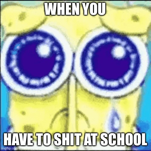 Sad spunchbop | WHEN YOU; HAVE TO SHIT AT SCHOOL | image tagged in sad spunchbop | made w/ Imgflip meme maker