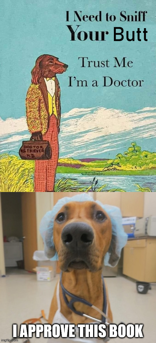 Butt; I APPROVE THIS BOOK | image tagged in dog doctor,fake | made w/ Imgflip meme maker