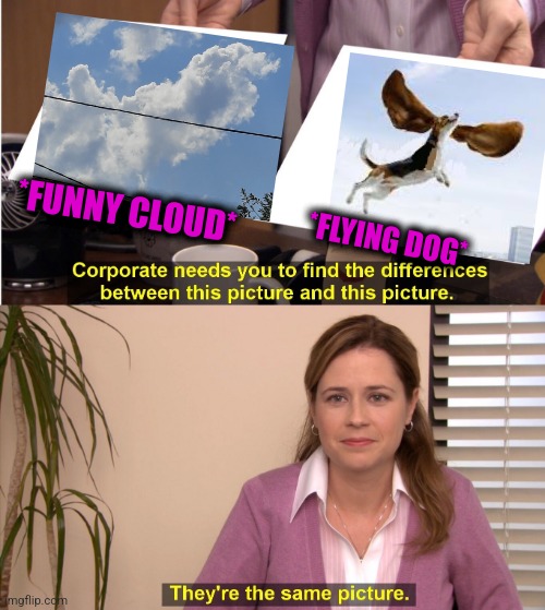 -Nose of both. | *FUNNY CLOUD*; *FLYING DOG* | image tagged in memes,they're the same picture,old man yells at cloud,funny dogs,raydog 10 million point matrix icon,so true memes | made w/ Imgflip meme maker