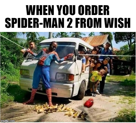 Spider-Man | WHEN YOU ORDER SPIDER-MAN 2 FROM WISH | image tagged in spider-man,wish,marvel comics,mcu,funny memes,comedy | made w/ Imgflip meme maker
