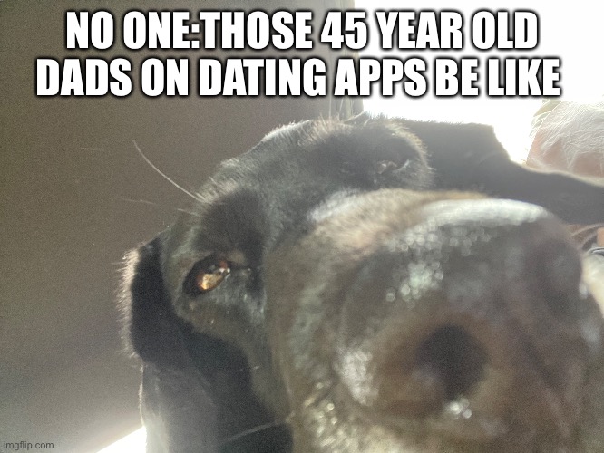 Dog | NO ONE:THOSE 45 YEAR OLD DADS ON DATING APPS BE LIKE | image tagged in funny memes | made w/ Imgflip meme maker