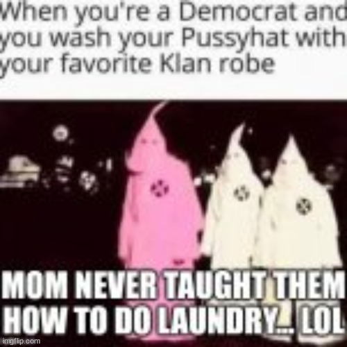 Mommy and daddy failed them... | image tagged in kkk,democrats | made w/ Imgflip meme maker