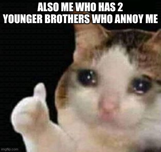 sad thumbs up cat | ALSO ME WHO HAS 2 YOUNGER BROTHERS WHO ANNOY ME | image tagged in sad thumbs up cat | made w/ Imgflip meme maker