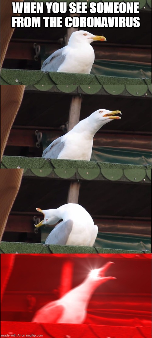 Inhaling Seagull | WHEN YOU SEE SOMEONE FROM THE CORONAVIRUS | image tagged in memes,inhaling seagull | made w/ Imgflip meme maker