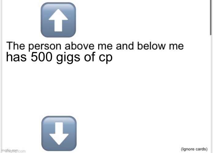 Person above below | has 500 gigs of cp | image tagged in person above below | made w/ Imgflip meme maker