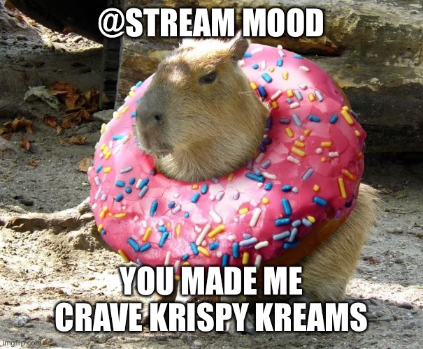 Coconut dog | @STREAM MOOD; YOU MADE ME CRAVE KRISPY KREAMS | image tagged in coconut dog | made w/ Imgflip meme maker
