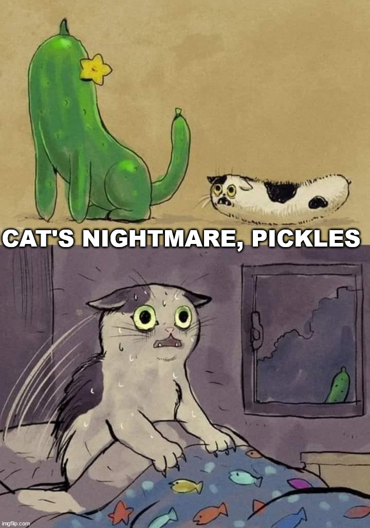 CAT'S NIGHTMARE, PICKLES | image tagged in cats | made w/ Imgflip meme maker
