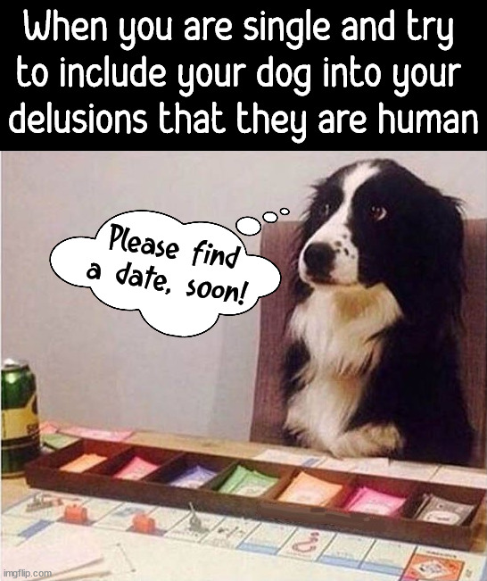If this is you, please think of your dog .... | When you are single and try 
to include your dog into your 
delusions that they are human; Please find a date, soon! | image tagged in funny dogs,please help me,treat yo self,dating,find someone | made w/ Imgflip meme maker
