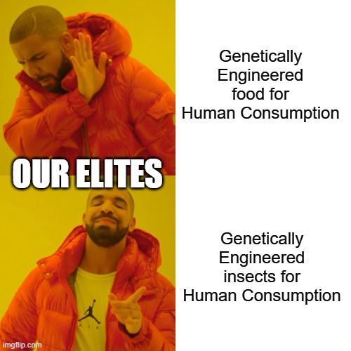 Drake Hotline Bling | Genetically Engineered food for Human Consumption; OUR ELITES; Genetically Engineered insects for Human Consumption | image tagged in memes,drake hotline bling | made w/ Imgflip meme maker