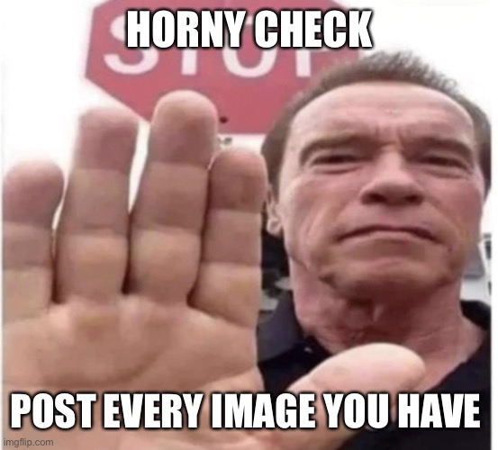 Stop scrolling Arnold | HORNY CHECK; POST EVERY IMAGE YOU HAVE | image tagged in stop scrolling arnold | made w/ Imgflip meme maker