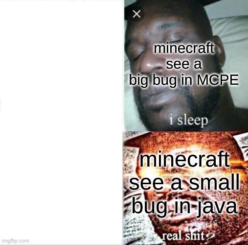 I Don't, Know Why this is True | minecraft see a big bug in MCPE; minecraft see a small bug in java | image tagged in memes,sleeping shaq | made w/ Imgflip meme maker