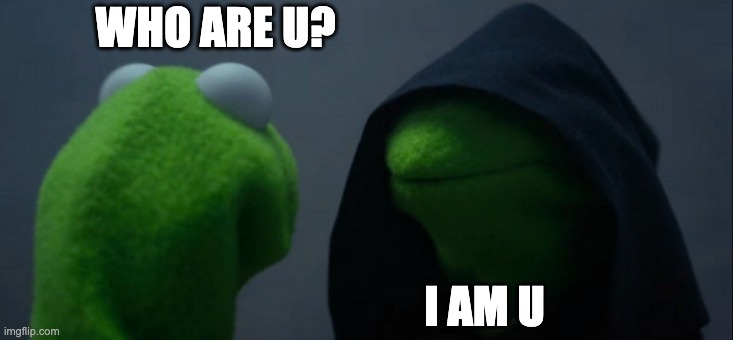 is this a mirror | WHO ARE U? I AM U | image tagged in memes,evil kermit | made w/ Imgflip meme maker