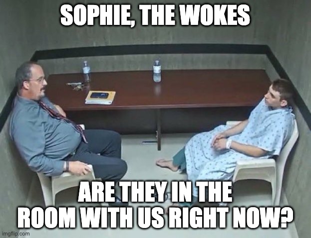 Are they in the room with us right now? | SOPHIE, THE WOKES; ARE THEY IN THE ROOM WITH US RIGHT NOW? | image tagged in are they in the room with us right now | made w/ Imgflip meme maker