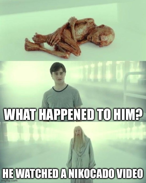 E | WHAT HAPPENED TO HIM? HE WATCHED A NIKOCADO VIDEO | image tagged in dead baby voldemort / what happened to him | made w/ Imgflip meme maker
