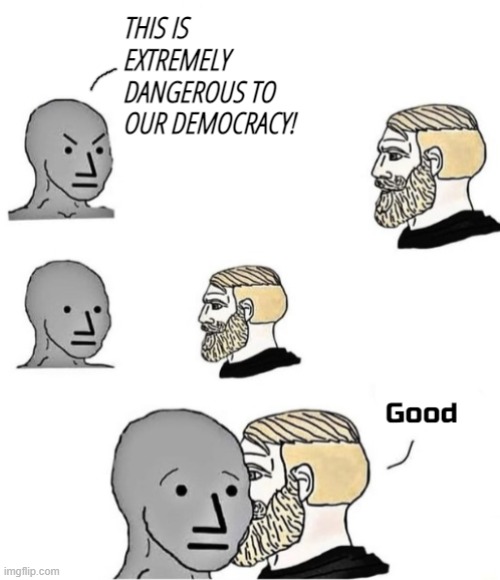 "Voters Want a Strong Leader More Than Anything Else, Exit Poll Shows..." | image tagged in npc meme,chad,democracy | made w/ Imgflip meme maker