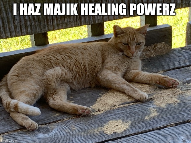 Buut firzt i needz a cheezburbur | I HAZ MAJIK HEALING POWERZ | made w/ Imgflip meme maker