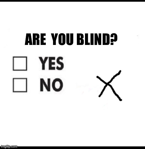 Blind | ARE  YOU BLIND? | image tagged in check yes or no | made w/ Imgflip meme maker
