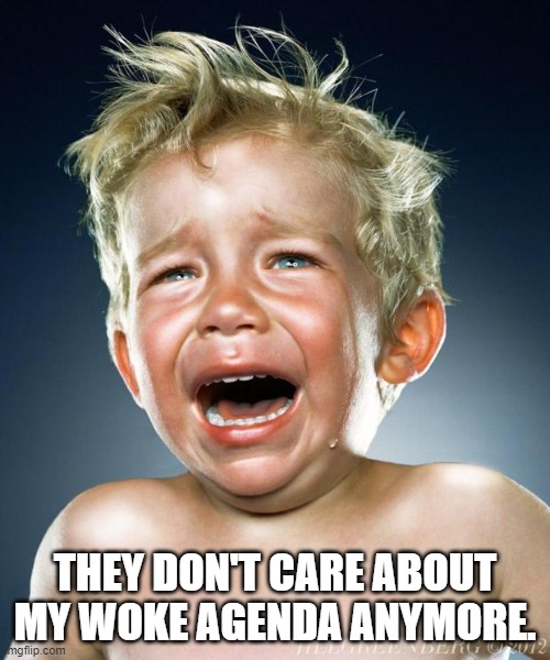 Cry Baby | THEY DON'T CARE ABOUT MY WOKE AGENDA ANYMORE. | image tagged in cry baby | made w/ Imgflip meme maker