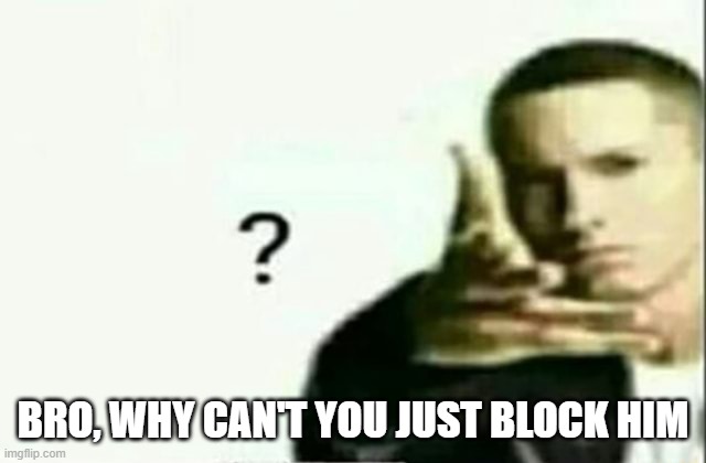 Eminem ? Lq | BRO, WHY CAN'T YOU JUST BLOCK HIM | image tagged in eminem lq | made w/ Imgflip meme maker