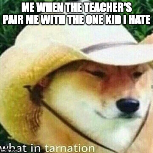 What in tarnation dog | ME WHEN THE TEACHER'S PAIR ME WITH THE ONE KID I HATE | image tagged in what in tarnation dog | made w/ Imgflip meme maker