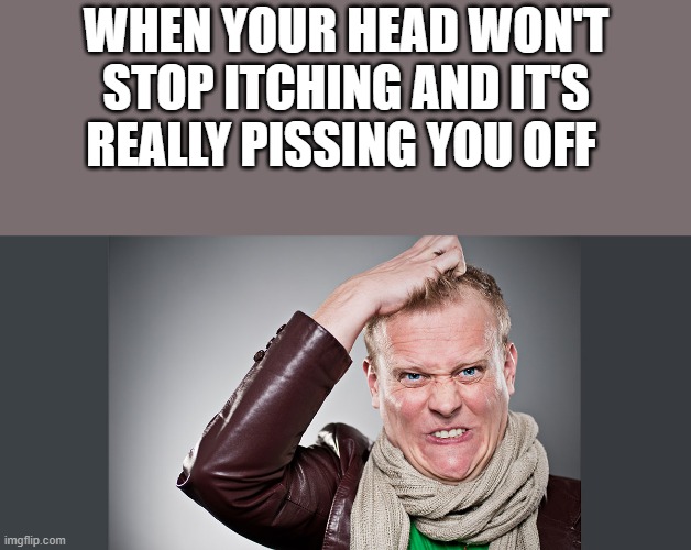 When Your Head Won't Stop Itching |  WHEN YOUR HEAD WON'T STOP ITCHING AND IT'S REALLY PISSING YOU OFF | image tagged in head,itching,itchy,scratching,funny,memes | made w/ Imgflip meme maker