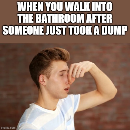 When You Walk Into Bathroom After Someone Took A Dump | WHEN YOU WALK INTO THE BATHROOM AFTER SOMEONE JUST TOOK A DUMP | image tagged in bathroom,bathroom humor,taking a dump,taking a shit,funny,memes | made w/ Imgflip meme maker