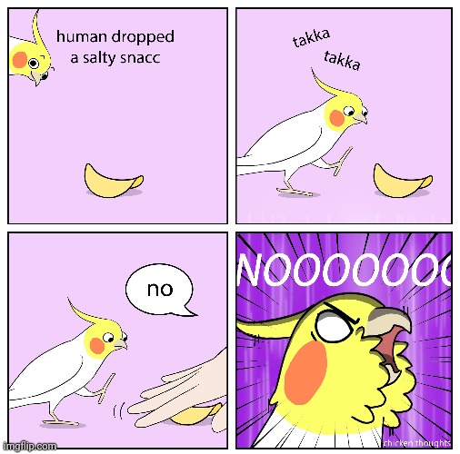 Salty potato chip | image tagged in bird,salty,chips,birds,comics,comics/cartoons | made w/ Imgflip meme maker