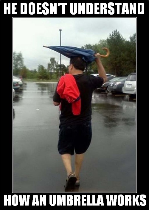 Something Is Not Right ! | HE DOESN'T UNDERSTAND; HOW AN UMBRELLA WORKS | image tagged in stupid people,raining,umbrella | made w/ Imgflip meme maker