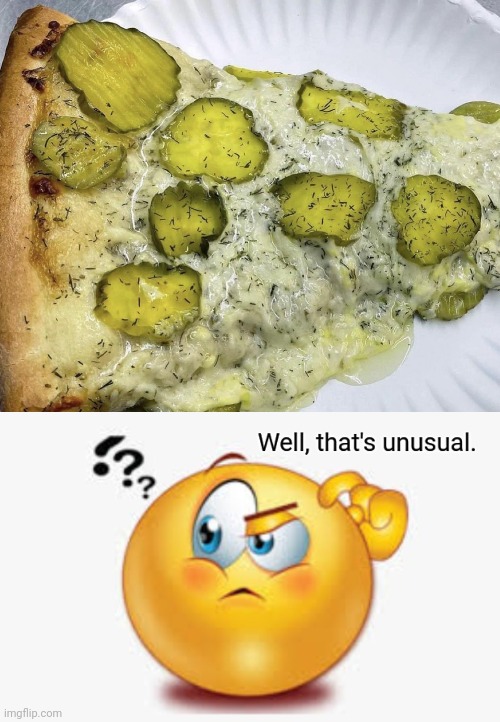 Pickle pizza | image tagged in well that's unusual,pickle,pizza,memes,foods,food | made w/ Imgflip meme maker