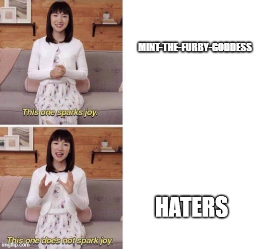 This one sparks joy | MINT-THE-FURBY-GODDESS; HATERS | image tagged in this one sparks joy | made w/ Imgflip meme maker