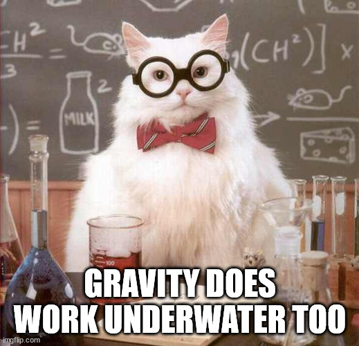 cat scientist | GRAVITY DOES WORK UNDERWATER TOO | image tagged in cat scientist | made w/ Imgflip meme maker