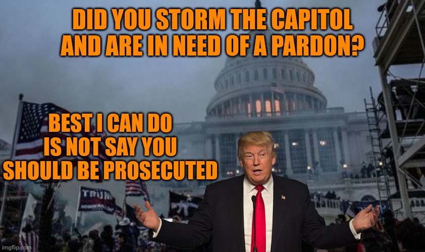 misconstrued coup | DID YOU STORM THE CAPITOL AND ARE IN NEED OF A PARDON? BEST I CAN DO IS NOT SAY YOU SHOULD BE PROSECUTED | image tagged in misconstrued coup | made w/ Imgflip meme maker