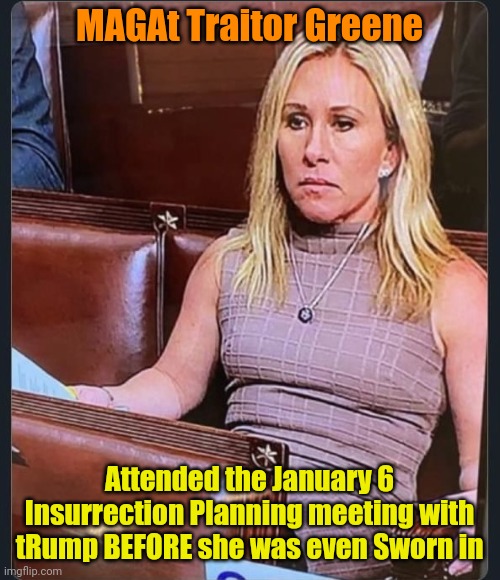 Mtg | MAGAt Traitor Greene; Attended the January 6 Insurrection Planning meeting with tRump BEFORE she was even Sworn in | image tagged in mtg | made w/ Imgflip meme maker