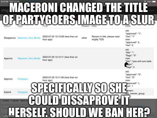 We should ban her | MACERONI CHANGED THE TITLE OF PARTYGOERS IMAGE TO A SLUR; SPECIFICALLY SO SHE COULD DISSAPROVE IT HERSELF. SHOULD WE BAN HER? | image tagged in h | made w/ Imgflip meme maker