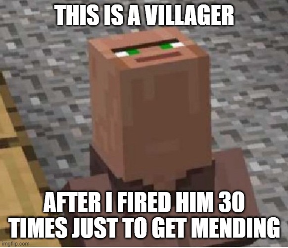 You did this at one point... | THIS IS A VILLAGER; AFTER I FIRED HIM 30 TIMES JUST TO GET MENDING | image tagged in minecraft villager looking up | made w/ Imgflip meme maker