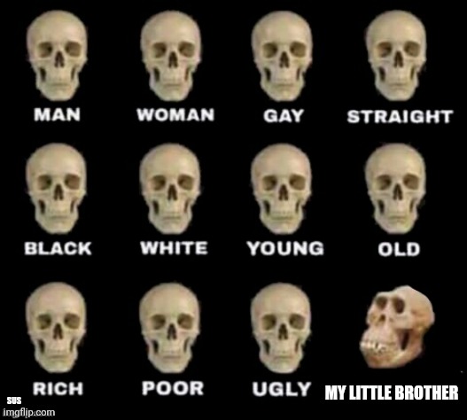 Skull Chart | MY LITTLE BROTHER; SUS | image tagged in idiot skull | made w/ Imgflip meme maker