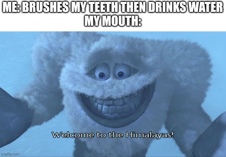 Welcome to the himalayas |  ME: BRUSHES MY TEETH THEN DRINKS WATER
MY MOUTH: | image tagged in welcome to the himalayas | made w/ Imgflip meme maker