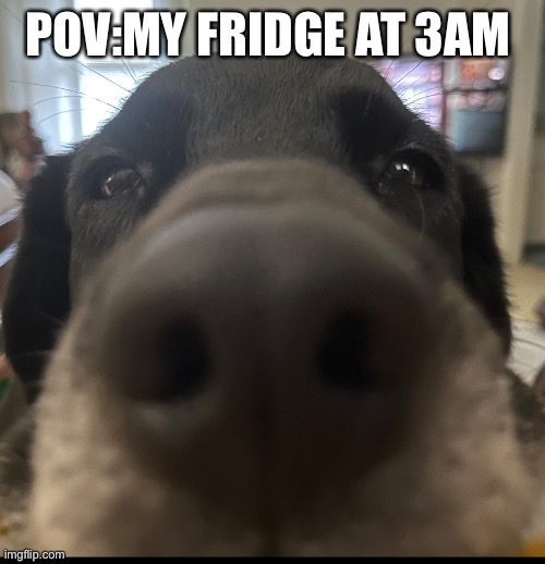 Yes | POV:MY FRIDGE AT 3AM | image tagged in funny memes | made w/ Imgflip meme maker