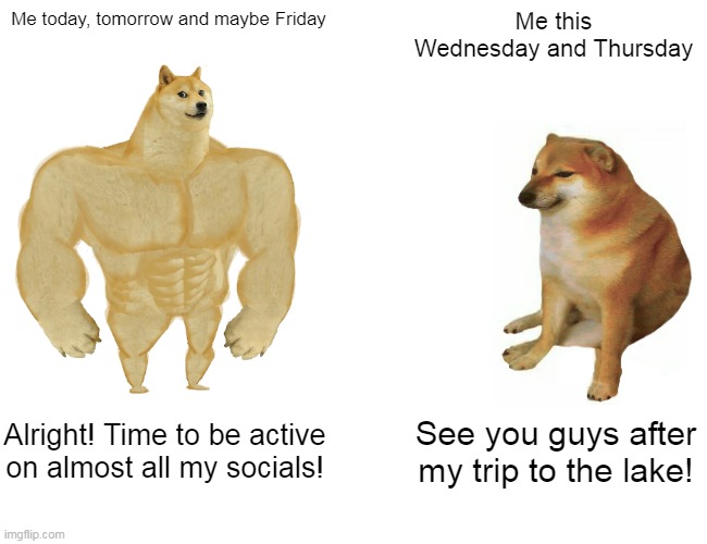 Buff Doge vs. Cheems |  Me today, tomorrow and maybe Friday; Me this Wednesday and Thursday; Alright! Time to be active on almost all my socials! See you guys after my trip to the lake! | image tagged in memes,buff doge vs cheems | made w/ Imgflip meme maker