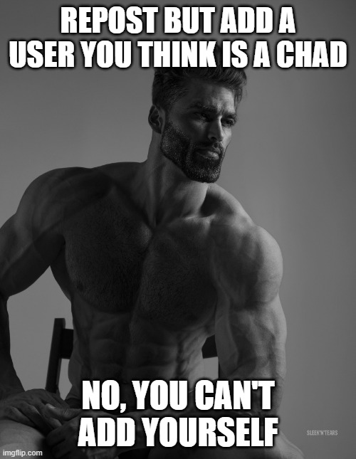 Giga Chad | REPOST BUT ADD A USER YOU THINK IS A CHAD; NO, YOU CAN'T ADD YOURSELF | image tagged in giga chad | made w/ Imgflip meme maker