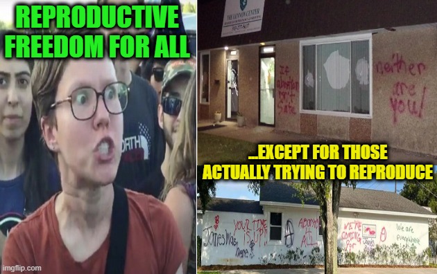 Orwellian Euphemisms for All | REPRODUCTIVE FREEDOM FOR ALL; ...EXCEPT FOR THOSE ACTUALLY TRYING TO REPRODUCE | image tagged in abortion,reproductive freedom,pro-life pregnancy centers,vandalism | made w/ Imgflip meme maker