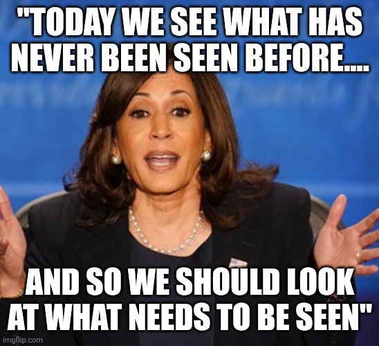 Pearls from modern day MLK | "TODAY WE SEE WHAT HAS NEVER BEEN SEEN BEFORE.... AND SO WE SHOULD LOOK AT WHAT NEEDS TO BE SEEN" | image tagged in kamala harris | made w/ Imgflip meme maker